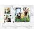 Calendrier photo A3 — Collection de photos [Avril]