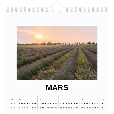 Calendriers annuels carré — Simple photo [Mars]