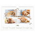 Calendrier photo A4 — Chaton joueur [Avril]