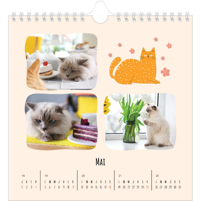 Calendriers annuels carré — Pattes de chat et gribouillis [couverture]