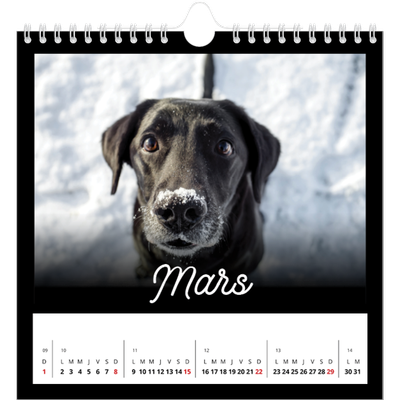 Calendriers annuels carré — Diapositive [Mars]