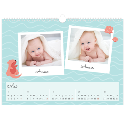 Calendrier photo A3 — Mes petits animaux [couverture]