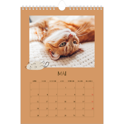 Calendrier photo A4 (20 x 30 cm) — Chaton joueur [couverture]