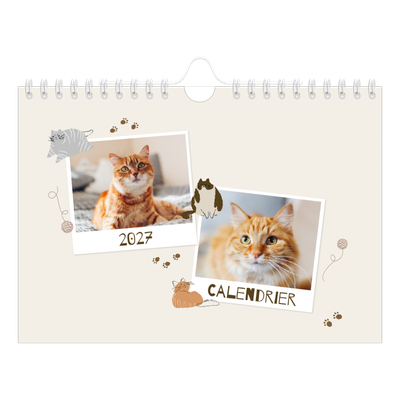 Calendrier photo A5 — Chaton joueur [couverture]