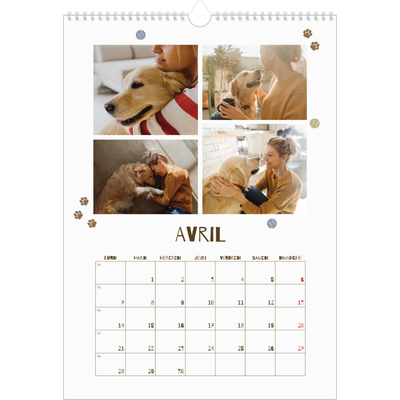 A3 Calendrier annuel — Chiot joueur [Avril]