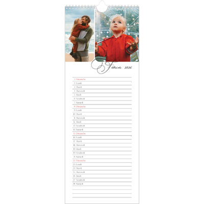 Calendrier mural long  — Instantanés et calligraphie [Février]