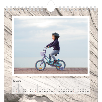 Calendriers annuels carré — Bois à l'état pur [Février]