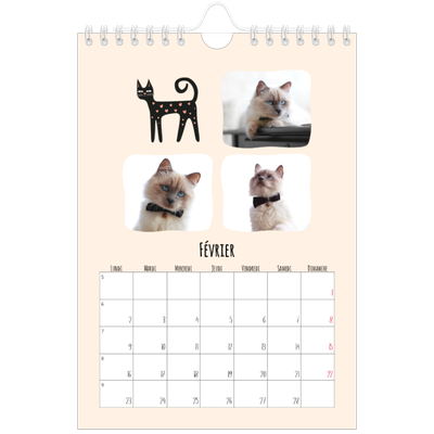Calendrier photo A5 — Pattes de chat et gribouillis [Février]