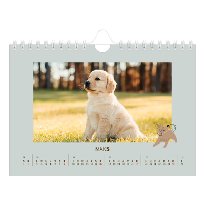 Calendrier photo A5 — Chiot joueur [Mars]