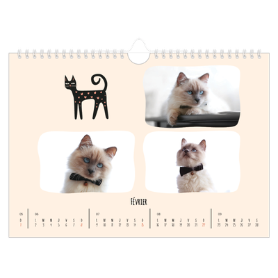 Calendrier photo A4 — Pattes de chat et gribouillis [Février]