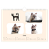 Calendrier photo A4 — Pattes de chat et gribouillis [Février]