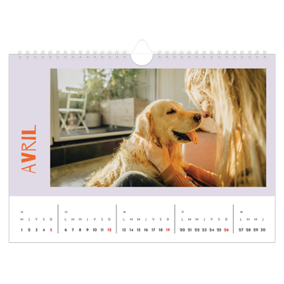 Calendrier photo A4 — Tout en couleurs [Avril]