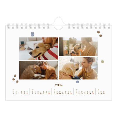 Calendrier photo A5 — Chiot joueur [Avril]