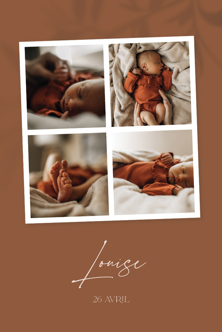 Cartons d'invitation — Terre à terre