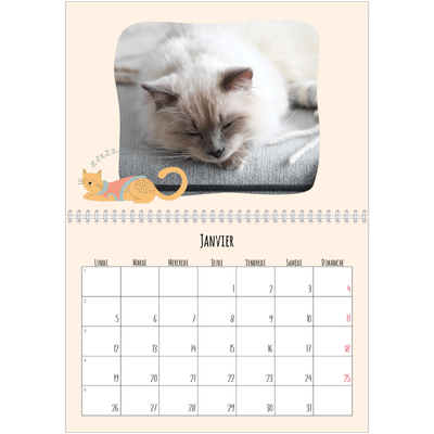 Calendrier photo A4 double (30 x 40 cm) — Pattes de chat et gribouillis [Janvier]