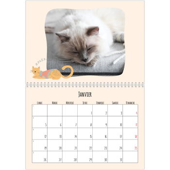 Calendrier photo A4 double — Pattes de chat et gribouillis