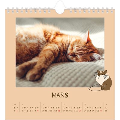 Calendriers annuels carré — Chaton joueur [Mars]