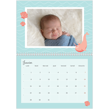 Calendrier photo A4 double — Mes petits animaux