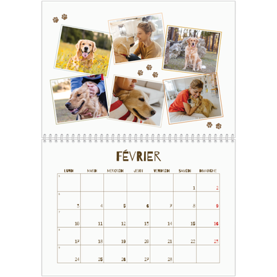 Calendrier photo A4 double (30 x 40 cm) — Chiot joueur [Février]