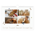 Calendrier photo A4 — Chiot joueur [Avril]
