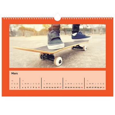 Calendrier photo A3 — Panel de couleur [Mars]