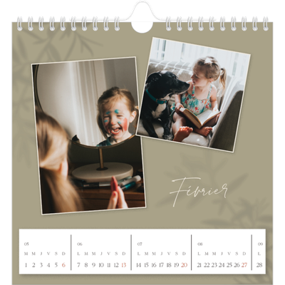 Calendriers annuels carré — Terre à terre [Février]