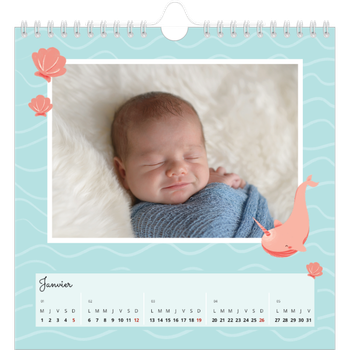 Calendrier photo carré — Mes petits animaux