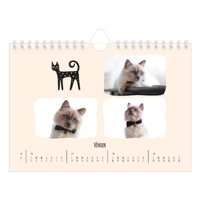 Calendrier photo A5 — Pattes de chat et gribouillis [Février]