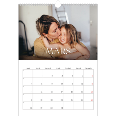 A3 Calendrier annuel — Douze jolis mois [Mars]