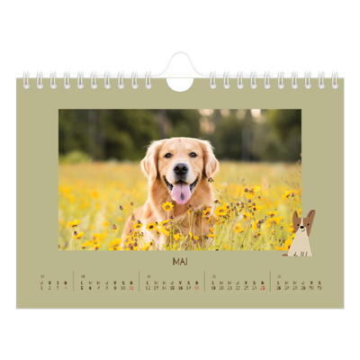 Calendrier photo A5 — Chiot joueur [couverture]