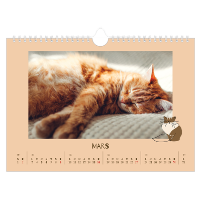 Calendrier photo A4 — Chaton joueur [Mars]
