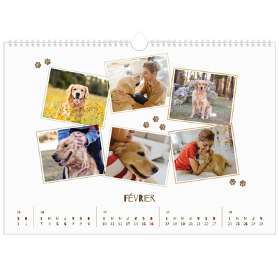 Calendrier photo A3 — Chiot joueur [Février]