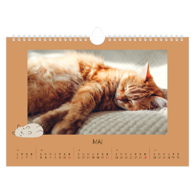 Calendrier photo A4 — Chaton joueur [couverture]
