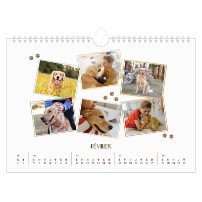 Calendrier photo A4 — Chiot joueur [Février]