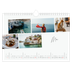 Calendrier photo A4 — Escapade citadine [Mai]