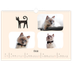 Calendrier photo A3 — Pattes de chat et gribouillis [Février]