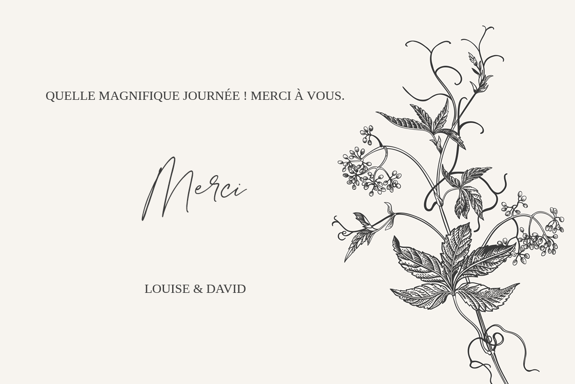 Carte de remerciement — Encre & lierre
