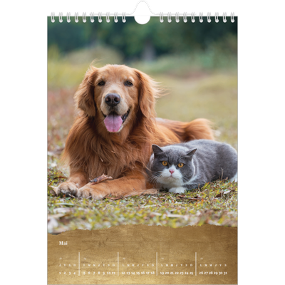 Calendrier photo A4 (20 x 30 cm) — Classic Gold [couverture]