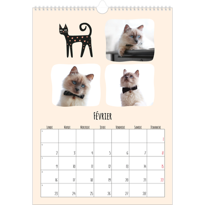 A3 Calendrier annuel — Pattes de chat et gribouillis [Février]
