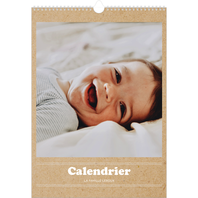 A3 Calendrier annuel — Chronique de l'année [couverture]