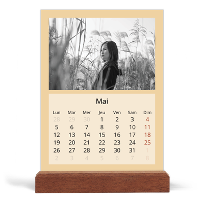 Calendrier de bureau support bois - portrait  — Neo Scandi [couverture]