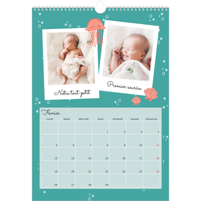 A3 Calendrier annuel — Mes petits animaux [Février]