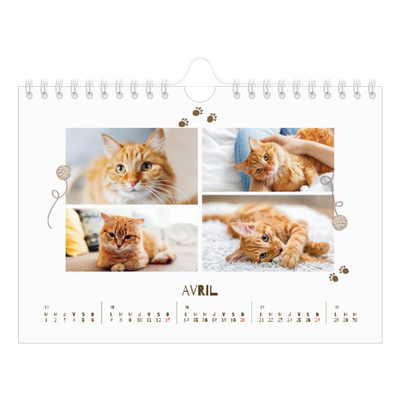 Calendrier photo A5 — Chaton joueur [Avril]