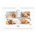 Calendrier photo A5 — Chaton joueur [Avril]