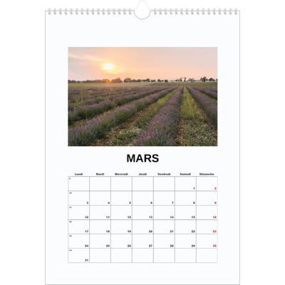 A3 Calendrier annuel — Simple photo [Mars]