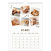 Calendrier photo A4 (20 x 30 cm) — Chaton joueur [Février]