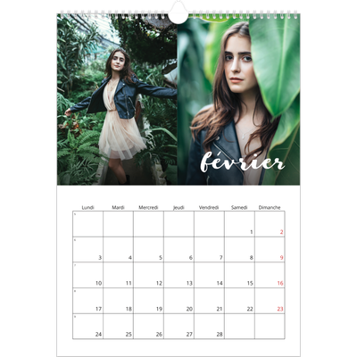 A3 Calendrier annuel — Superposition pinceau [Février]