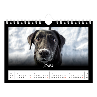 Calendrier photo A5 — Diapositive [Mars]