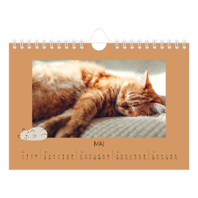 Calendrier photo A5 — Chaton joueur [couverture]
