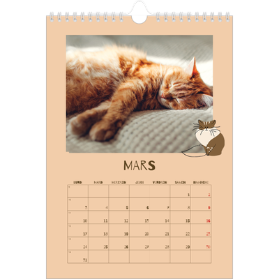 Calendrier photo A4 (20 x 30 cm) — Chaton joueur [Mars]